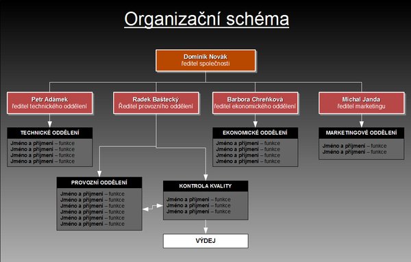Hotové organizační schéma (lze použít jako předlohu)