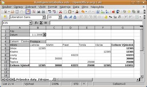 Výsledná kontingenční tabulka s datem 1.1.2008