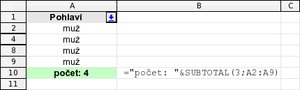 Počet položek pomocí SUBTOTAL - filtrovány položky „muž"
