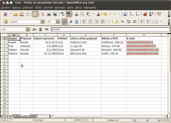 Vyplnění daty (v příkladu jsou data vymyšlená a nezakládají se na skutečnosti)