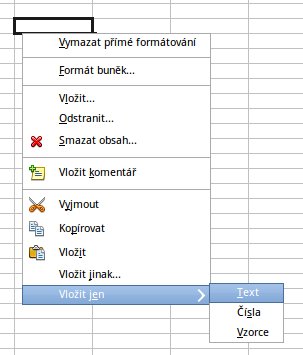 Tuto možnost využijete při kopírování dat z buněk s různým typem obsahu