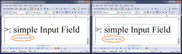 Vstupní pole lze nyní upravovat přímo na místě (openoffice.org, ALv2)﻿﻿