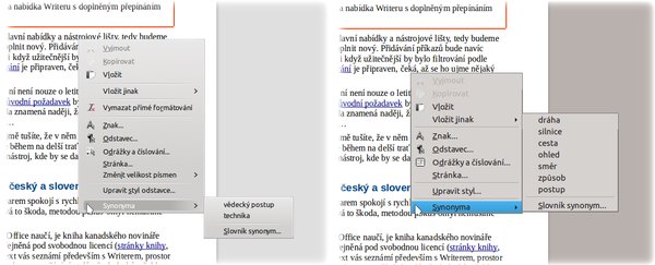 Synonyma pro slovo „metoda“ z původního (vlevo) a nového slovníku (nový chybně nabízí i jiné významy anglického „way“ jako „silnice“ nebo „ohled“)