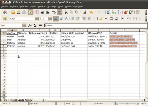 Vyplnění daty (v příkladu jsou data vymyšlená a nezakládají se na skutečnosti)