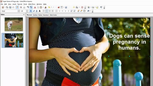 How to Make a Presentation in LibreOffice