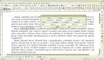 Nastavenie parametrov označeného textu